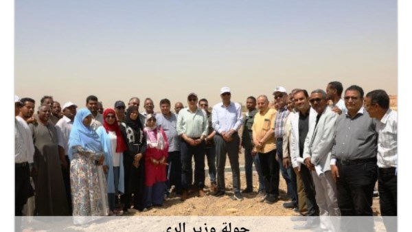 جهود محافظة أسوان 