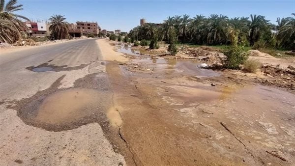 جانب من الحدث