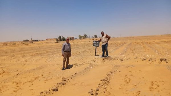 إزالة التعديات 
