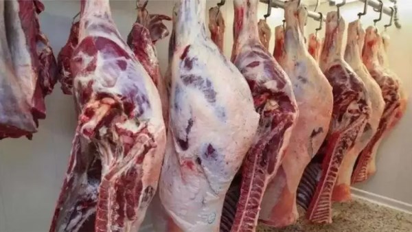 أسعار اللحوم الحمراء بالوادي الجديد مع اقتراب عيد الأضحى