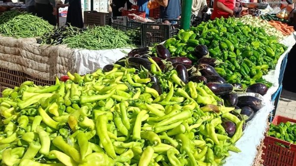 استقرار أسعار الخضروات والفاكهة في الوادي الجديد اليوم الأربعاء