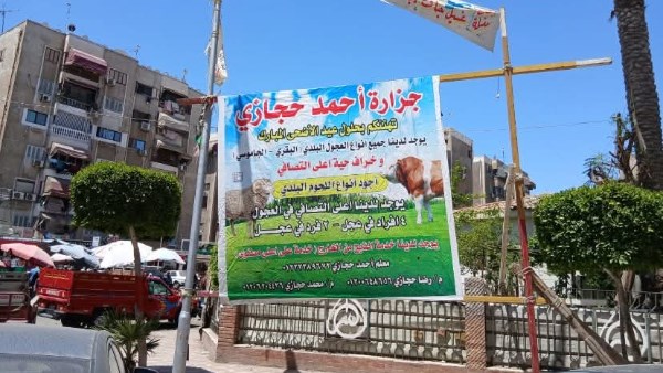 رئيس مدينة بورفؤاد : بدء إزالة الإعلانات المخالفة بأعمدة الإنارة العامة بنطاق المدينة