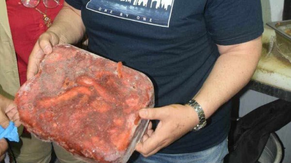 ضبط دواجن محقونة مياه ولحوم مستوردة تباع بلدي في زهور بورسعيد