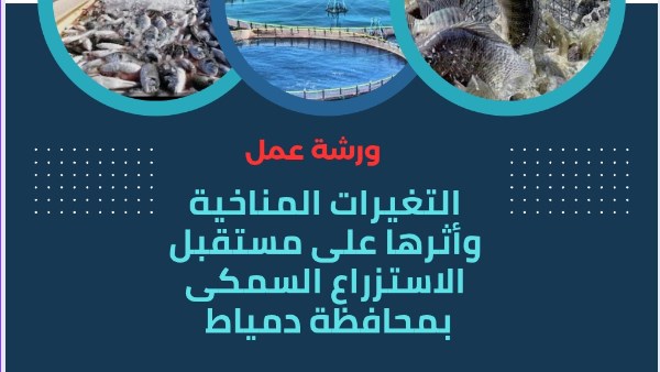 محافظة دمياط 