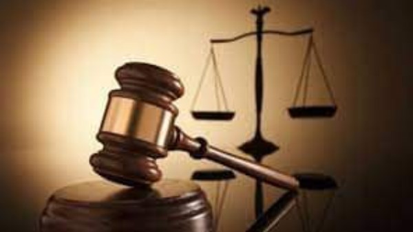 المشدد 5 سنوات لمتهمة بتزوير توكيل رسمي في القليوبية