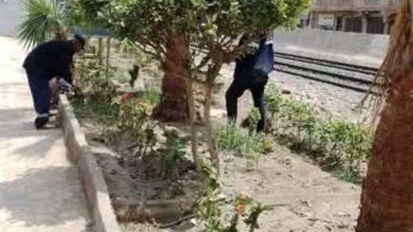 حملات تزيين شوارع المحلة
