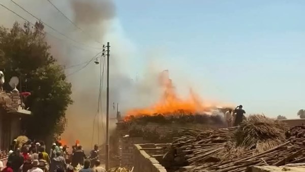 مسئول طبي بالغربية: 17 مصابا بالاختناق في حادث حريق مزرعة مواش بسمنود