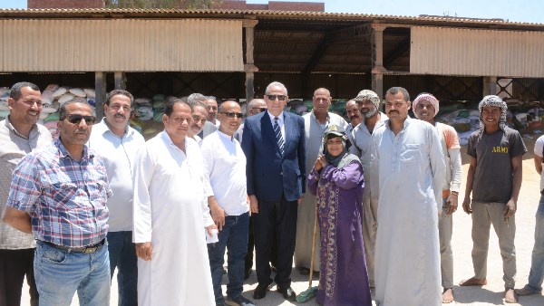 محافظ الغربية يتابع ميدانيًا استعدادات المجازر لعيد الأضحى وتوريد القمح بالشونة المركزية