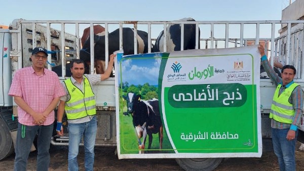 أورمان الشرقية تستعد لتوزيع اللحوم على المستحقين في عيد الأضحى