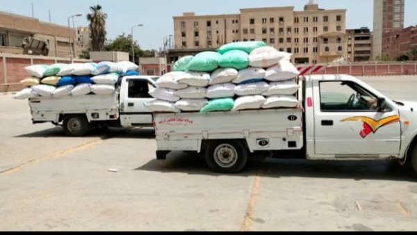 توريد512723 طن قمح لشون وصوامع الشرقية