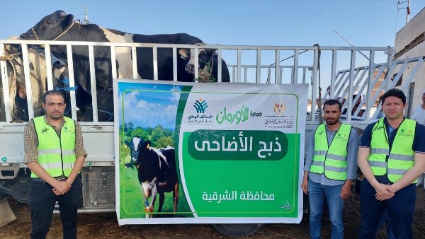 أورمان الشرقية تستعد لذبح الأضاحى خلال أيام التشريق فى مجزر أولاد صقر