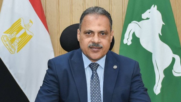 محافظ الشرقية