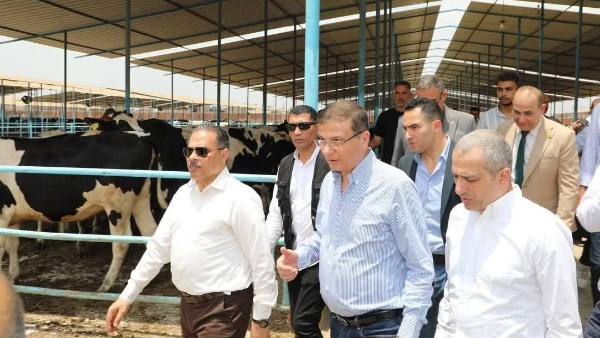 محافظ الشرقية