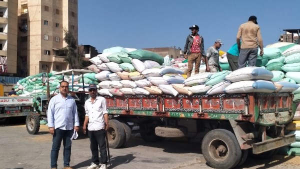 توريد القمح 