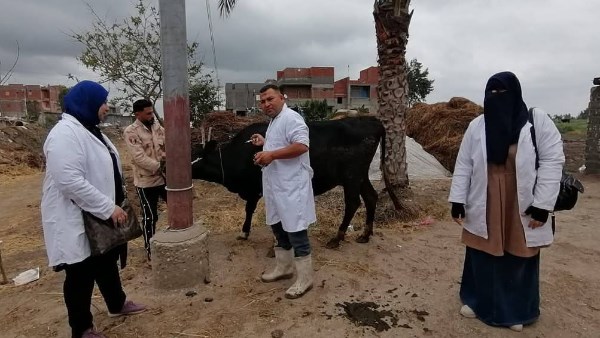 حملات التحصين