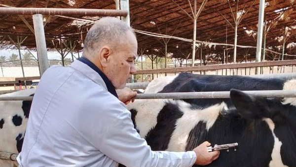 الخدمات البيطرية