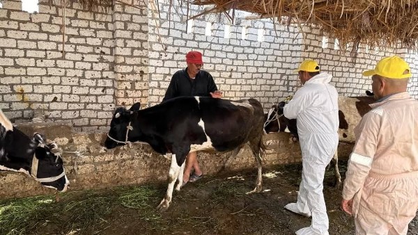 الخدمات البيطرية