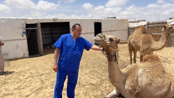  قافلة بيطرية