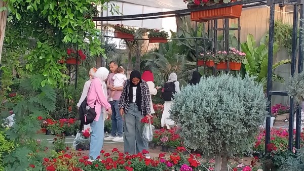 معرض زهور الربيع