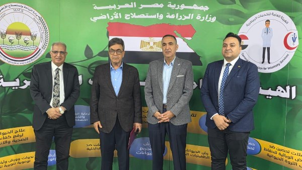 بروتوكول تعاون