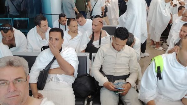 انطلاق أول أفواج بعثة الأطباء البيطريين للإشراف على الهدي والأضاحي بموسم الحج