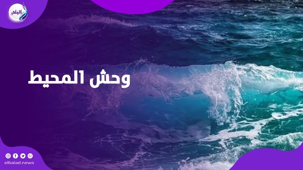 وحش المحيط الهادئ 