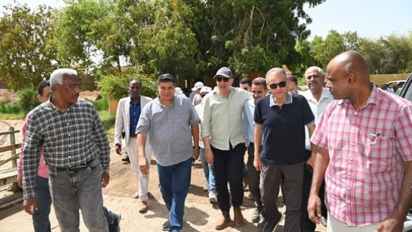 جانب من الفاعليات 