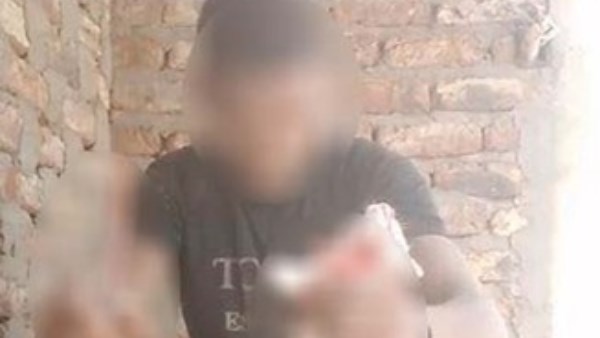 القبض على المتهم بالتعدى على قطة