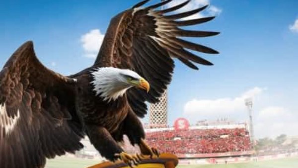 الاهلي