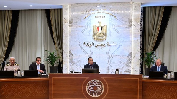 قرار مهم من الحكومة بشأن الكلاب الخطرة