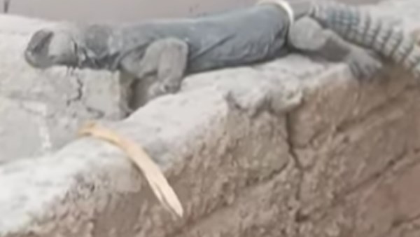 الضباب في طور سيناء 