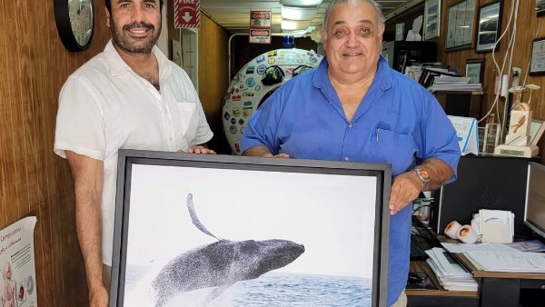 الدكتور عادل طاهر رئيس طب الأعمال بشرم الشيخ 