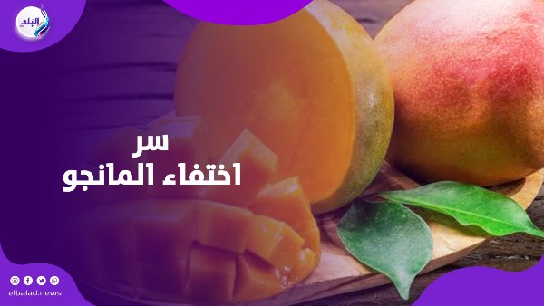 مانجو