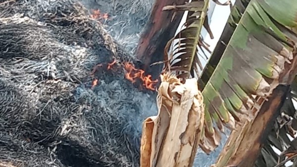 الحريق
