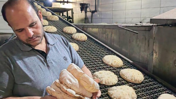 حملة تمونية