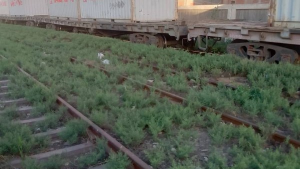 القضبان