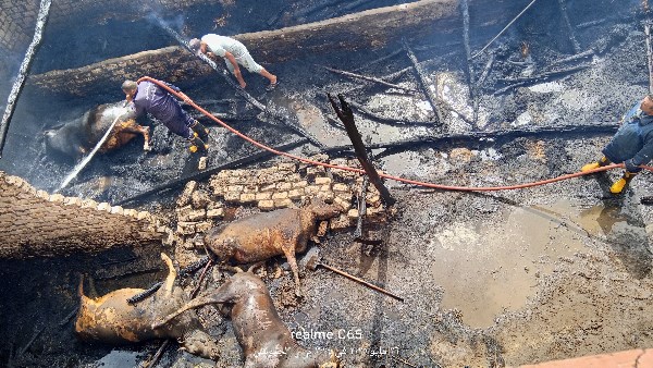 حريق كبير