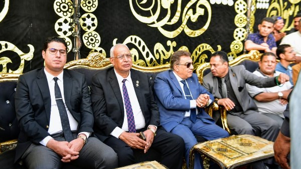 محافظ الدقهلبة
