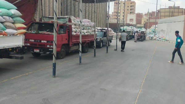 توريد قمح