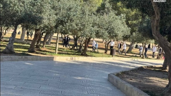 مئات المستوطنين يقتحمون المسجد الأقصى بحماية شرطة الاحتلال
