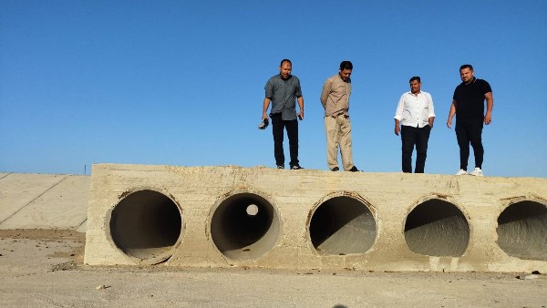 صورة موضوعية