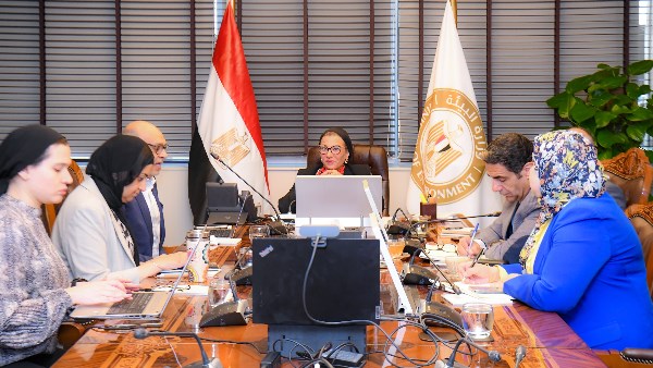 المنح الصغيرة 