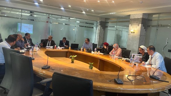 تكنولوجيا الوقود الحيوي في مصر 