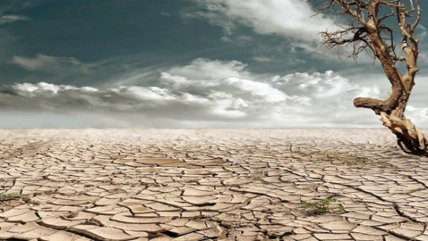 اتفاقية الأمم المتحدة لمكافحة التصحر