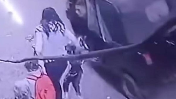 لقطة من الفيديو