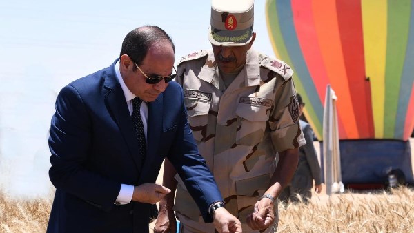 موسم الحصاد 