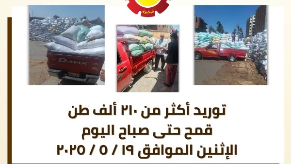 محافظ البحيرة