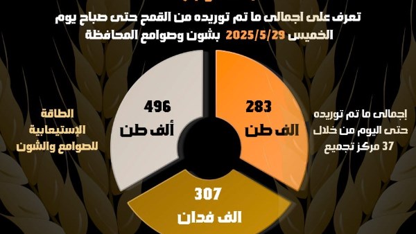 محصول القمح بالبحيرة