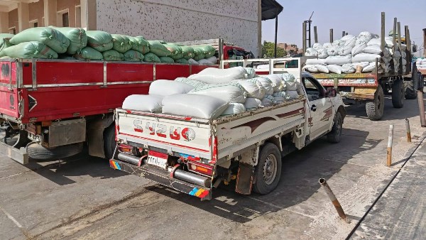 تموين الأقصر: توريد 3 آلاف و29 طنا و764 كيلوجراما من قمح للشون والصوامع