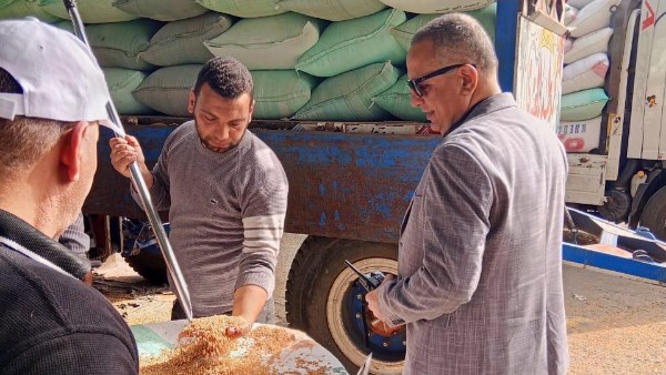 توريد أكبر كمية من القمح
